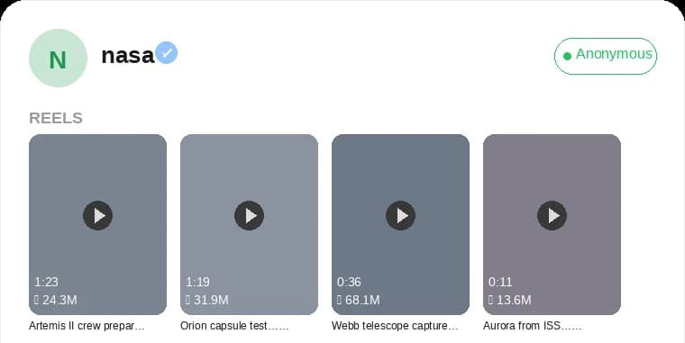 Anonymous Instagram Reels Viewer