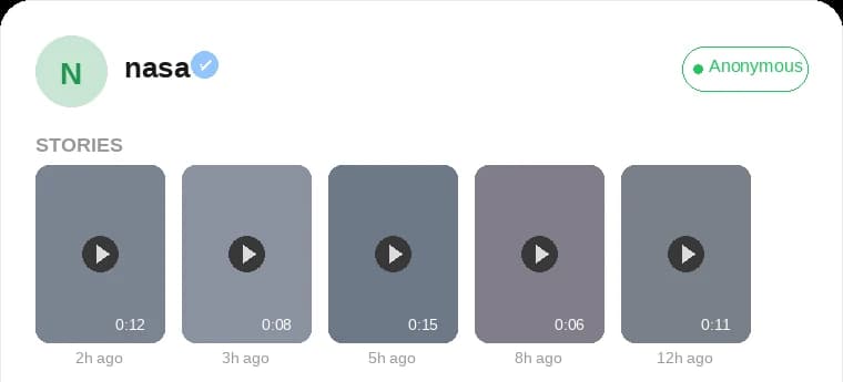 Anonymous Instagram Story Viewer