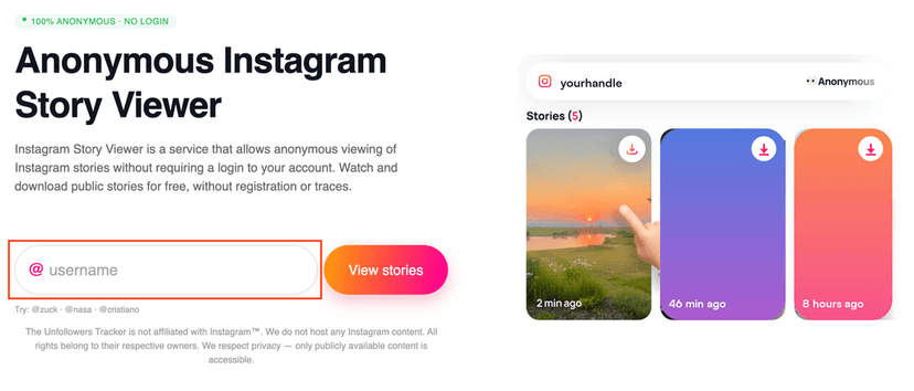 Instagram Story Viewer